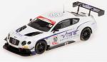 Bentley Continental GT3 Jordan Witt Racing #10 2016 GT Cup Series Champions by ALMOST REAL