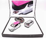Citroen 3x DS3 2012 Roofdeco Flower - Graphic art - Falvio (Gift Box) by NOREV