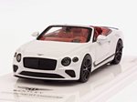Bentley Continental GT Convertible (Ice White) by TRUE SCALE MINIATURES